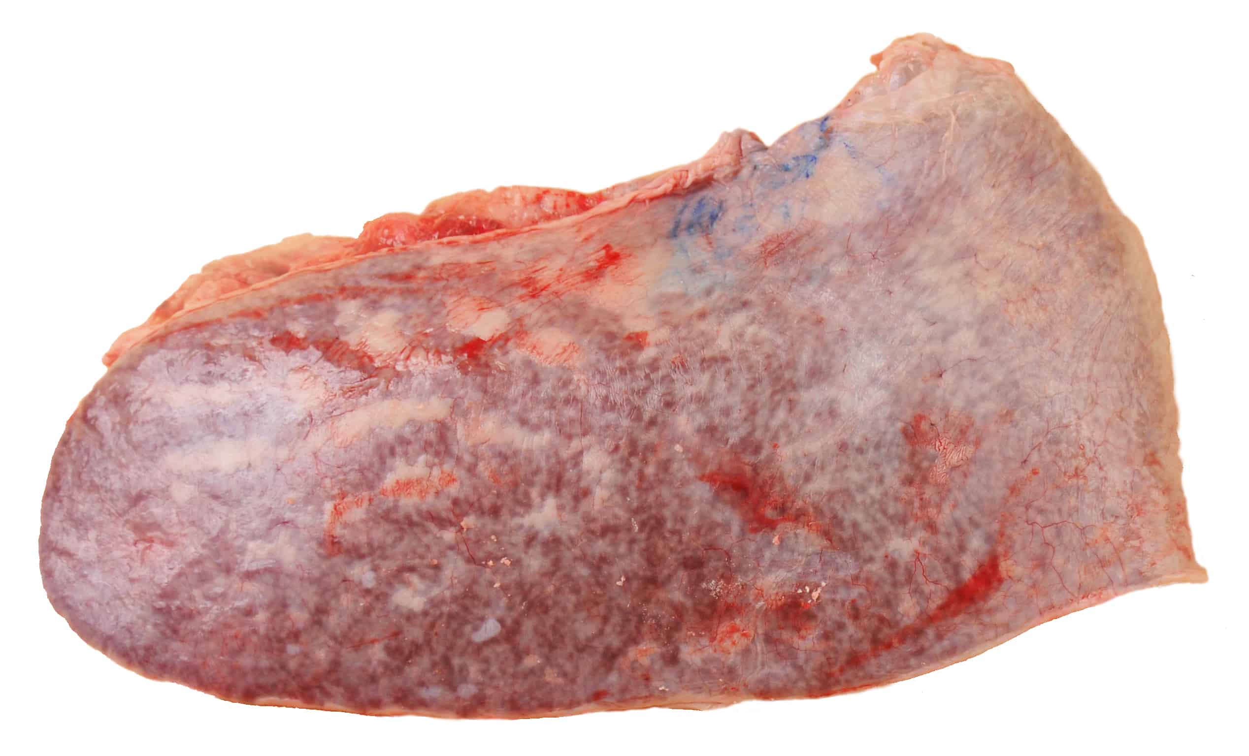 Beef Spleen
